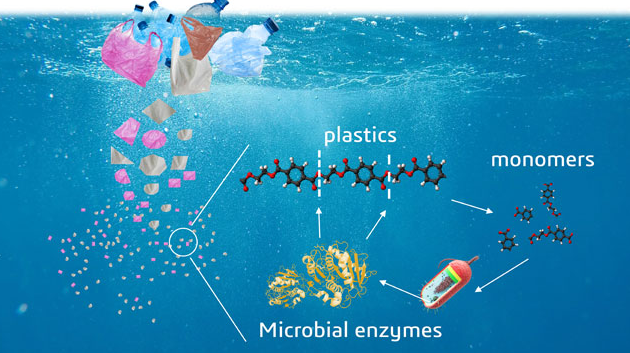 Biodegradation: Life of Science